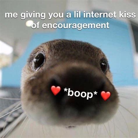 Boop meme - With Tenor, maker of GIF Keyboard, add popular Titanic Meme animated GIFs to your conversations. Share the best GIFs now >>>